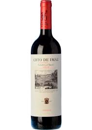 Coto De Imaz 